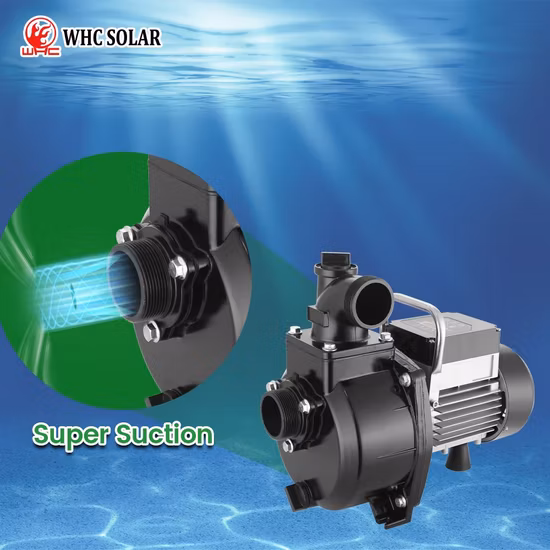 DC AC ハイブリッド用 MPPT コントローラー付き最高品質の水中太陽熱温水ポンプ、3 年保証